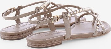 Kennel & Schmenger Strap Sandals 'ELLE' in Brown