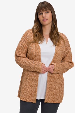 Ulla Popken Knit Cardigan in Brown: front