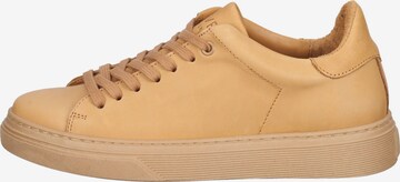 Steven New York Sneakers laag in Beige