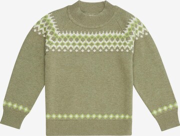 Sense Organics Sweater 'MEDO' in Green: front