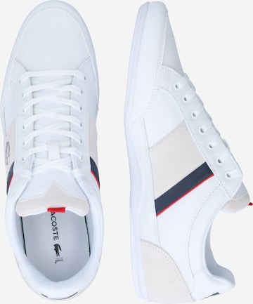 Baskets basses 'Chaymon' LACOSTE en blanc