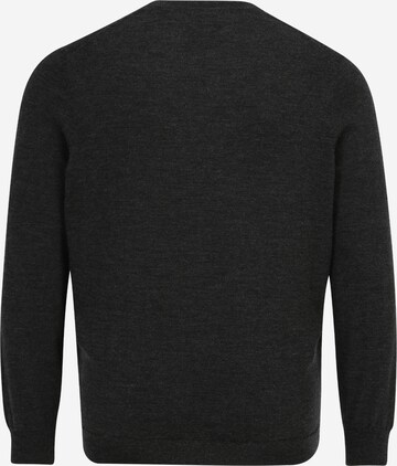 Polo Ralph Lauren Big & Tall Pullover in Grau: predná strana