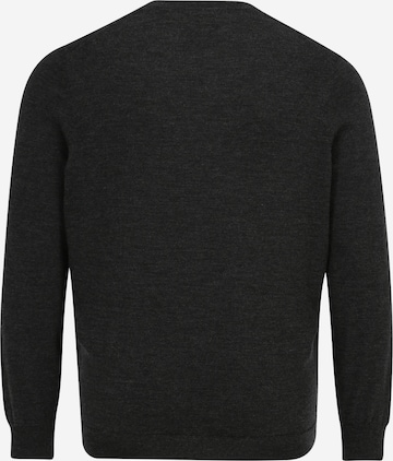 Polo Ralph Lauren Big & Tall Sweater in Grey: front
