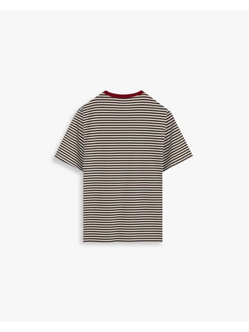 Scalpers Striped Pocket Tee ' ' in Braun