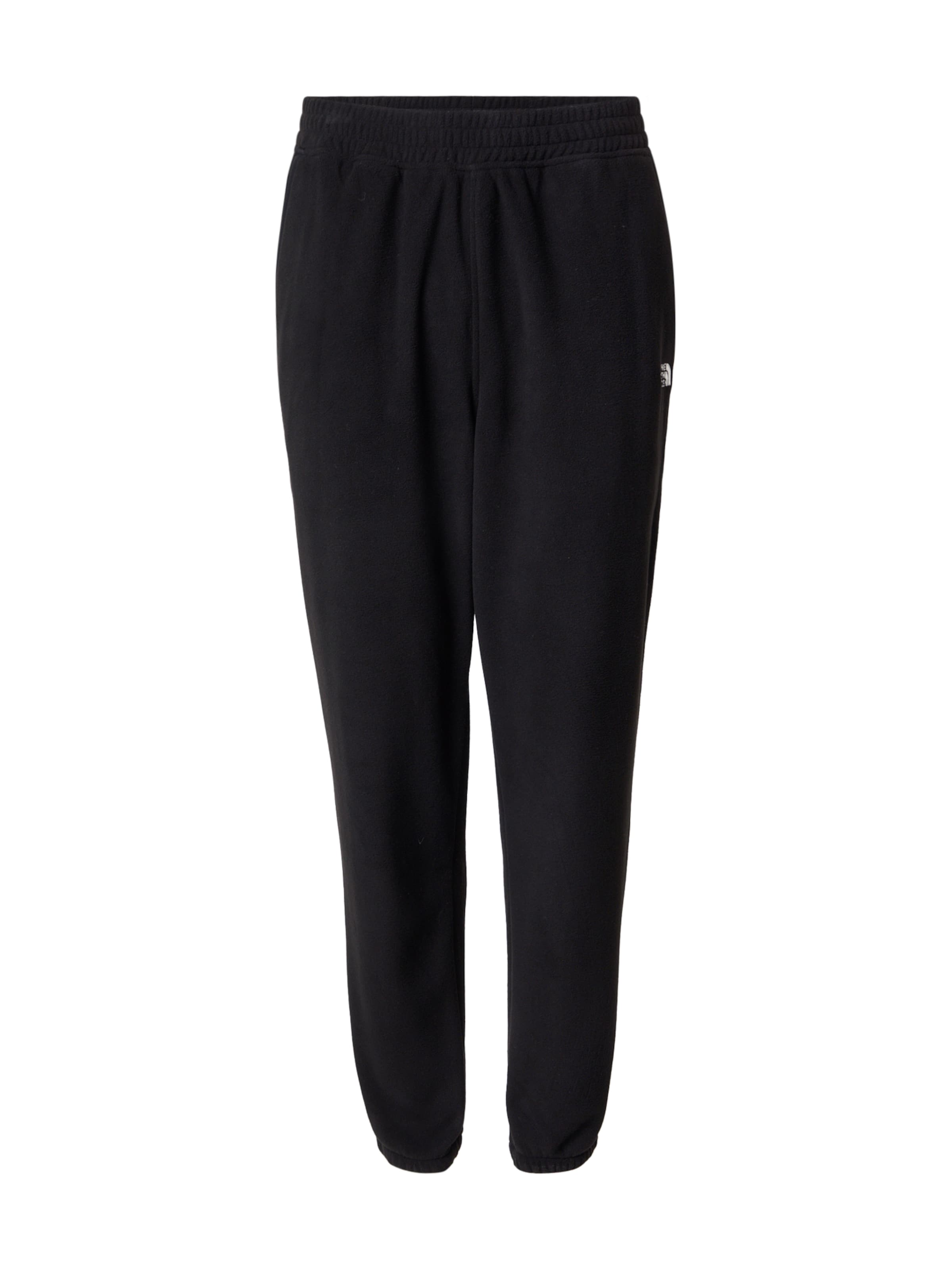 Tapered Pantaloni sport 'GLACIER' de la THE NORTH FACE pe negru: față