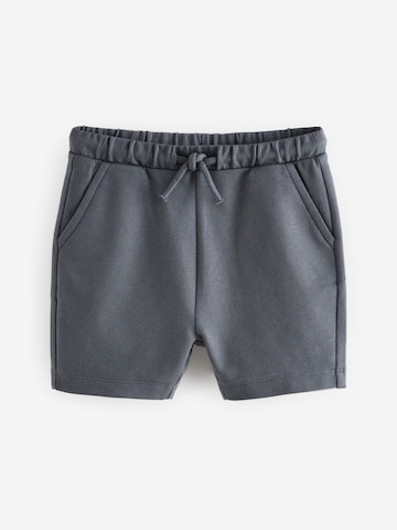 Next Regular Broek in Blauw