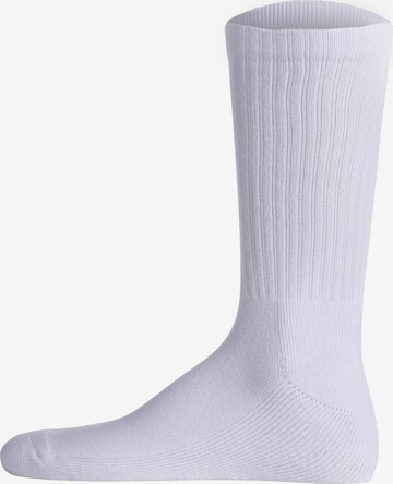 LACOSTE Sports socks in Blue