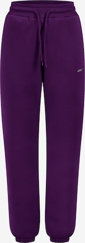 Smilodox Pants in Purple: front