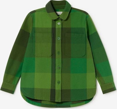 Thinking MU Bluza 'Norita' u zelena / maslinasta / travnato zelena, Pregled proizvoda