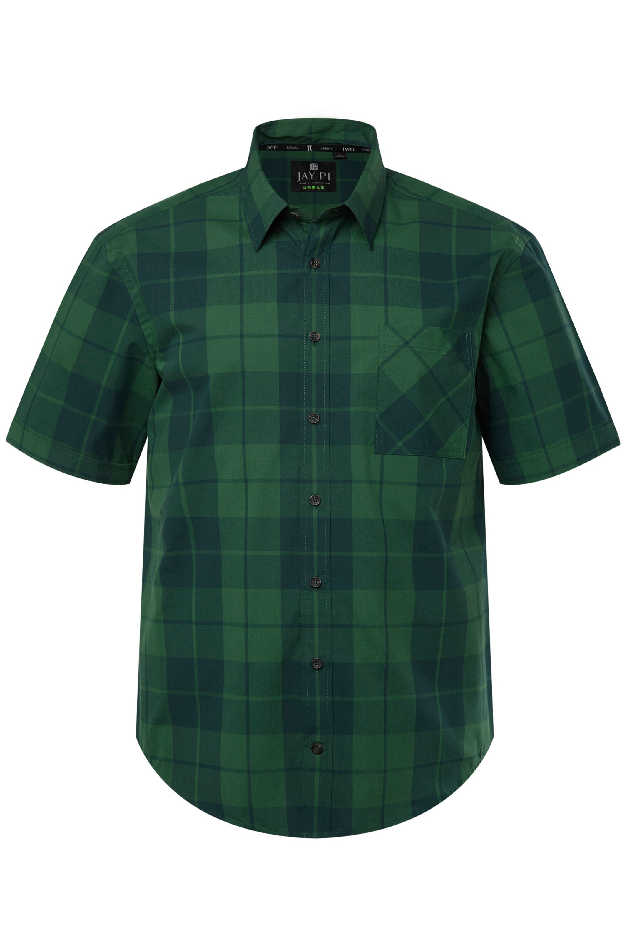 JAY-PI Regular Fit Hemd in Grün: Vorderseite