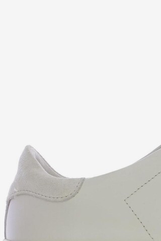 Axel Arigato Sneaker 38 in Weiß