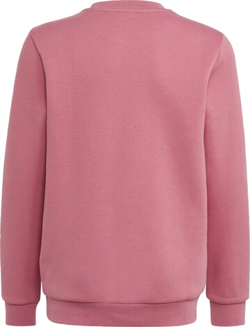 ADIDAS ORIGINALS Sweatshirt 'Adicolor' in Pink