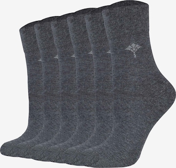 Chaussettes JOOP! en gris : devant