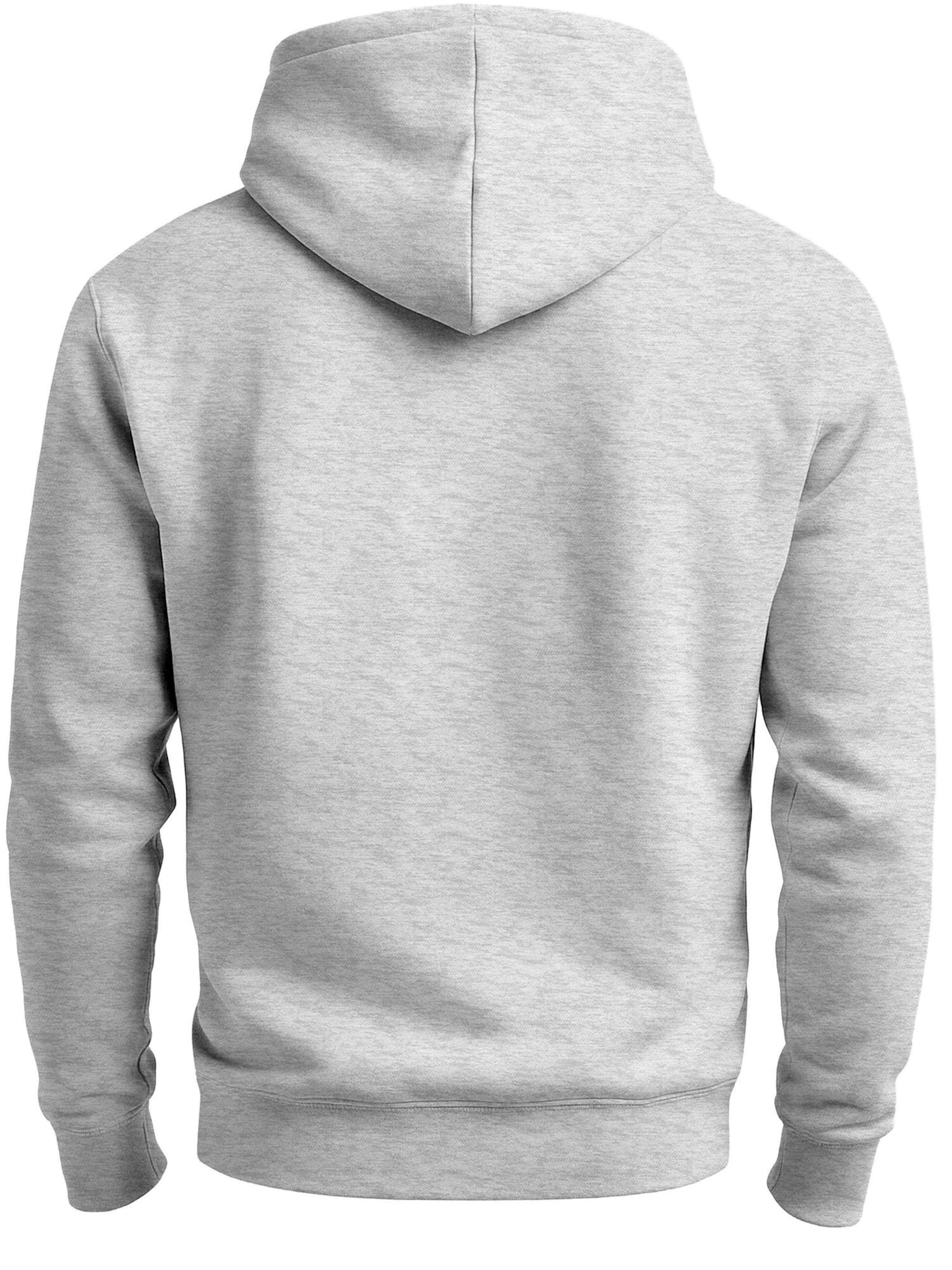 Neverless Sweatshirt 'Racing Cat' in Grey