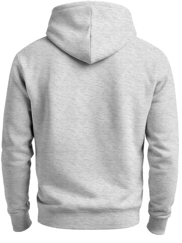 Neverless Sweatshirt 'Skull Snake'‌‌‌ in Grau