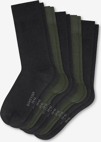 SCHIESSER Socks ' Daily Basic ' in Mixed colors: front