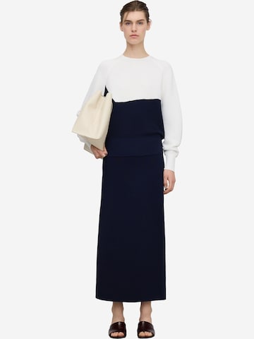 Adolfo Dominguez Rok in Blauw