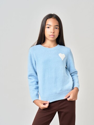 Deeluxe Trui in Blauw