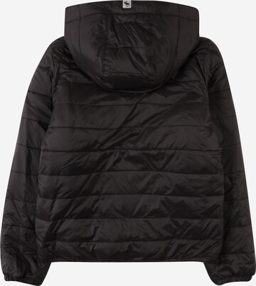 Abercrombie & Fitch Winter jacket in Black