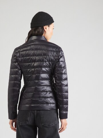 ARMANI EXCHANGE Зимняя куртка в Черный