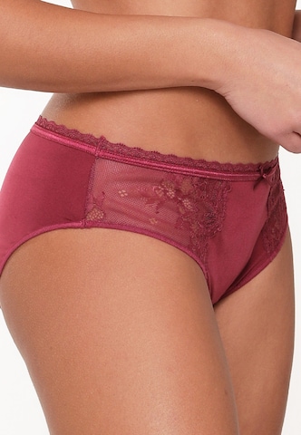 LingaDore Panty in Purple