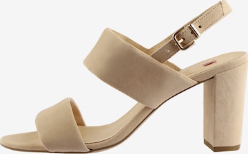 Högl Sandalen met riem 'AMBER' in Beige: voorkant
