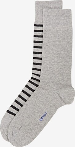ESPRIT Socken in Grau: predná strana