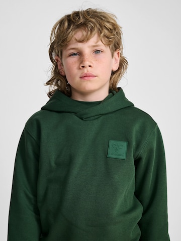 Hummel Sports sweatshirt 'Clean' in Green