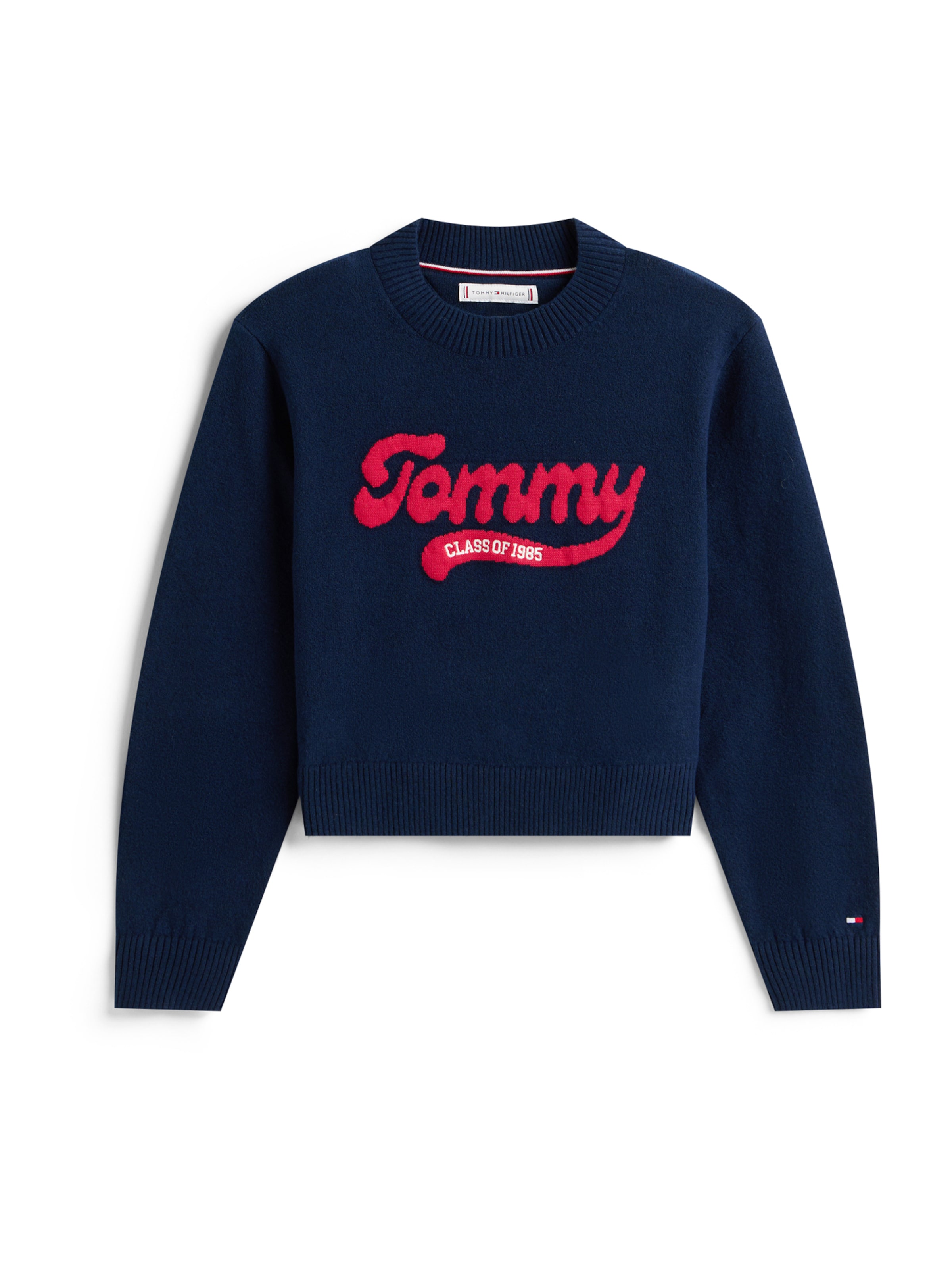 TOMMY HILFIGER Pullover i blå: forside