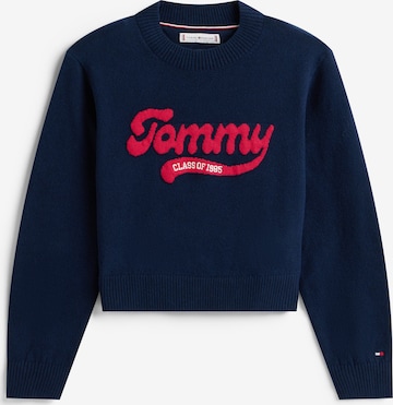 mėlyna TOMMY HILFIGER Megztinis: priekis