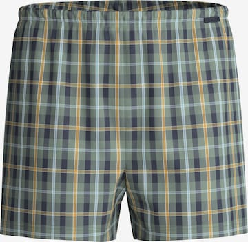 Boxer 'Daywear Xtra' di CALIDA in grigio: frontale