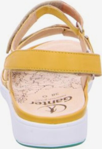 Ganter Sandals in Yellow