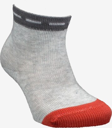ROGO Socken in Grau