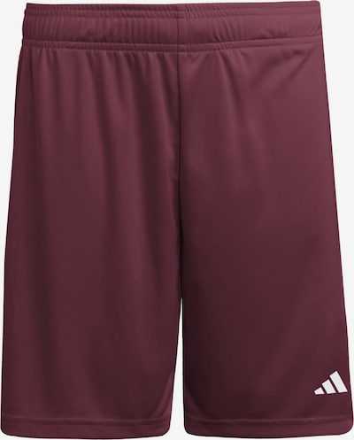 Sportinės kelnės 'ENT26' iš ADIDAS PERFORMANCE, spalva – vyno raudona spalva / balta, Prekių apžvalga