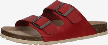 COSMOS COMFORT Mules in Red: front