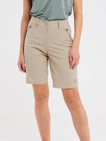 PROTEST Regular Pants 'PRTCEDRO' in Brown