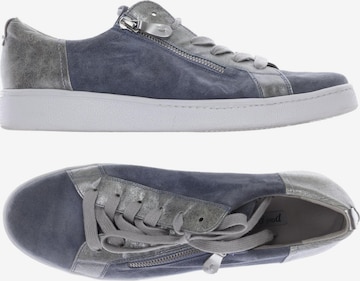 Paul Green Sneaker 41 in Blau: predná strana