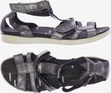 ECCO Sandals & High-Heeled Sandals in 40 in Grey: front