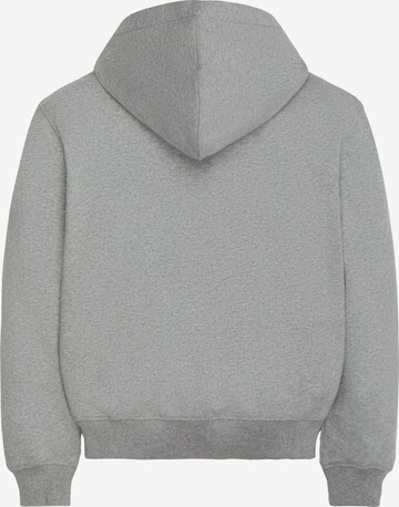 DICKIES Sweatshirt in Grey