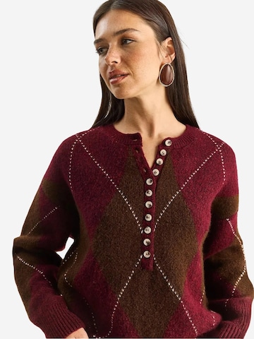 Bianco Lucci Pulover 'Pullover' | rjava barva