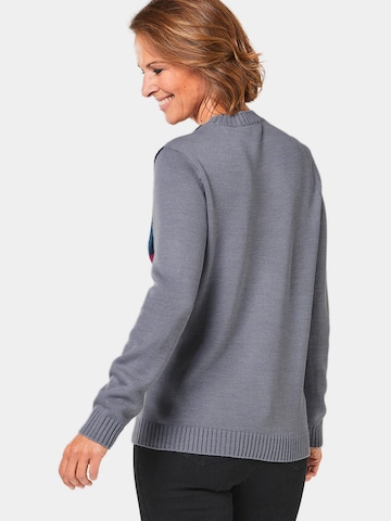 Pull-over Goldner en gris