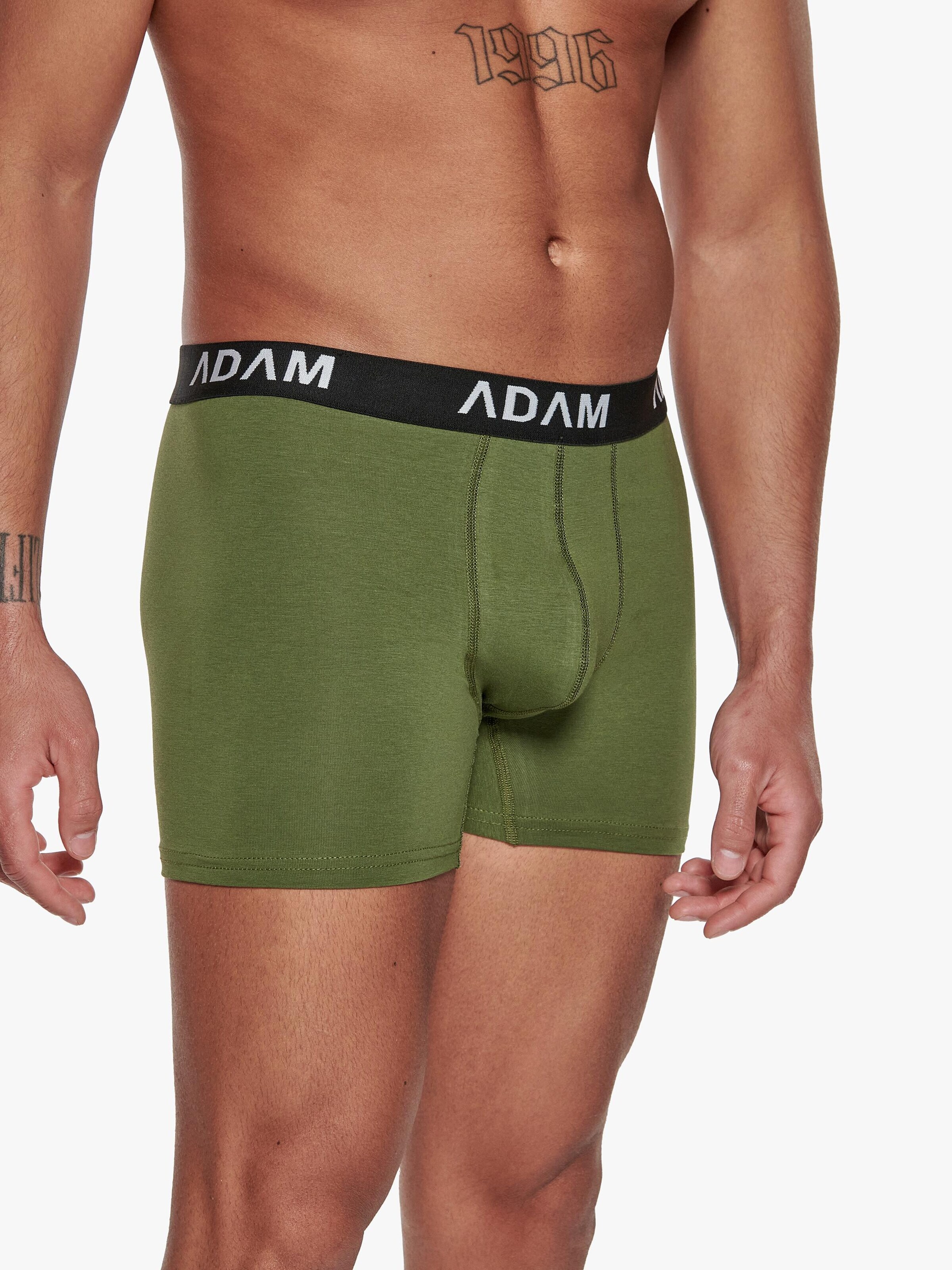 Adam Boxer shorts '12er Pack' in Green