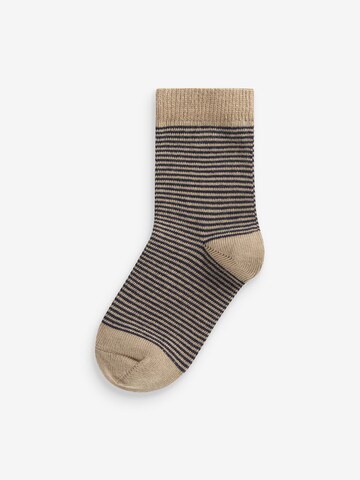 Chaussettes Next en mélange de couleurs