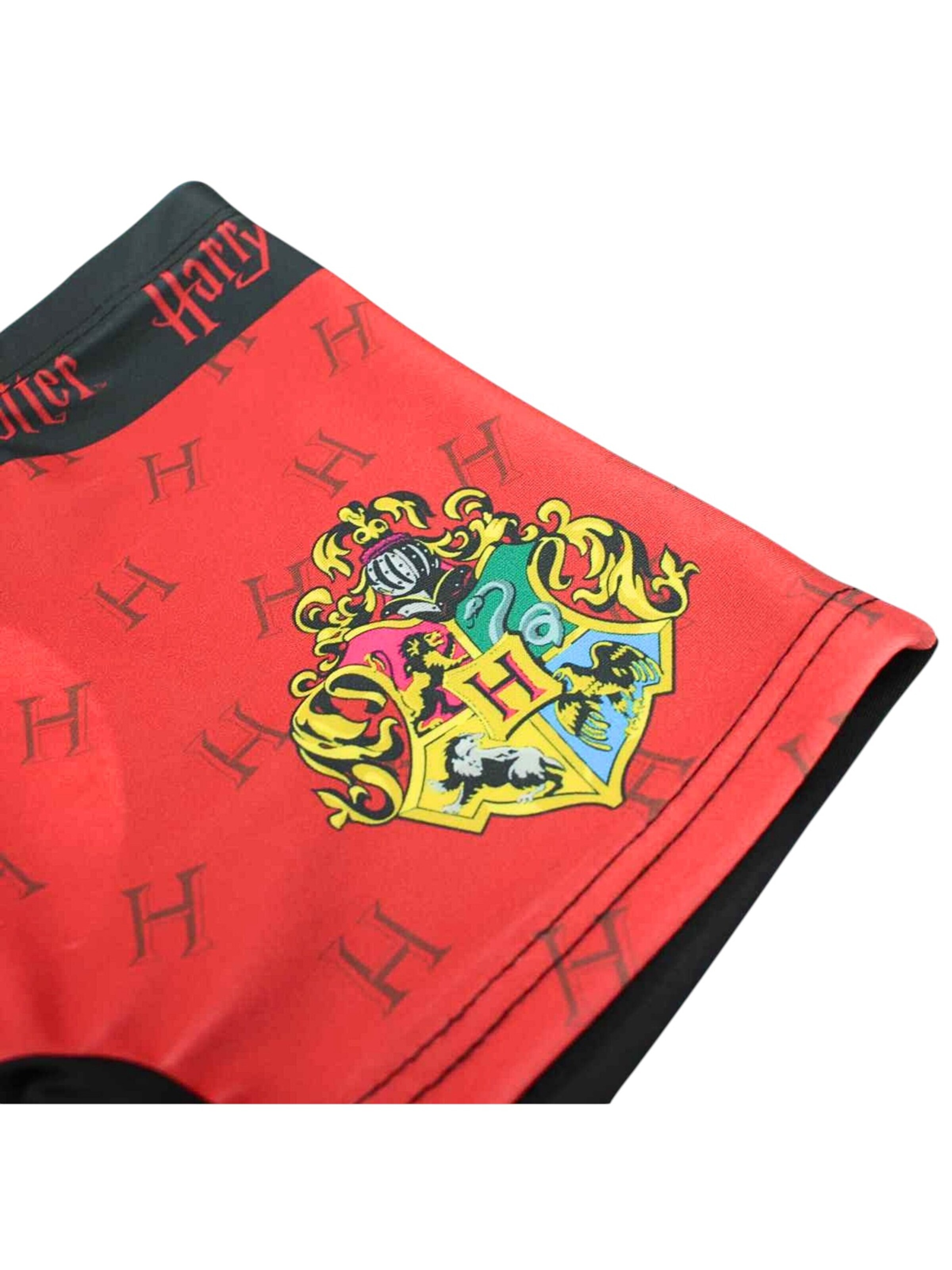 Harry Potter Board Shorts 'Harry Potter' in Black