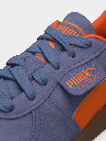 PUMA Trainers 'Palermo' in Grey