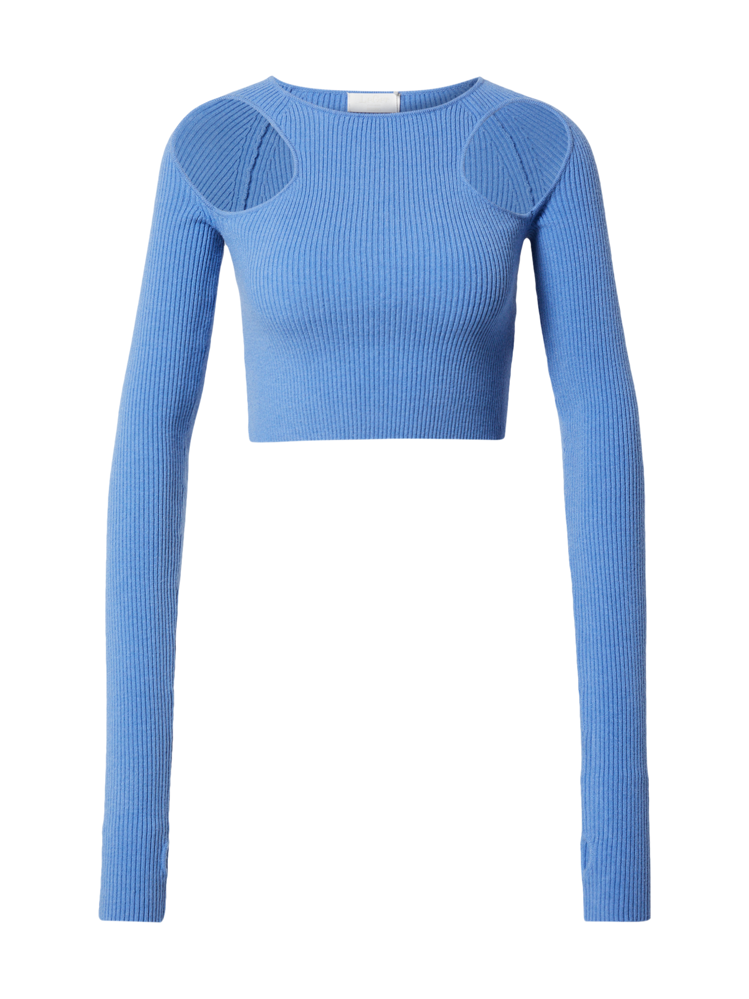 Abbigliamento Pullover e cardigan LeGer by Lena Gercke Pullover Dyliah in Blu Chiaro 