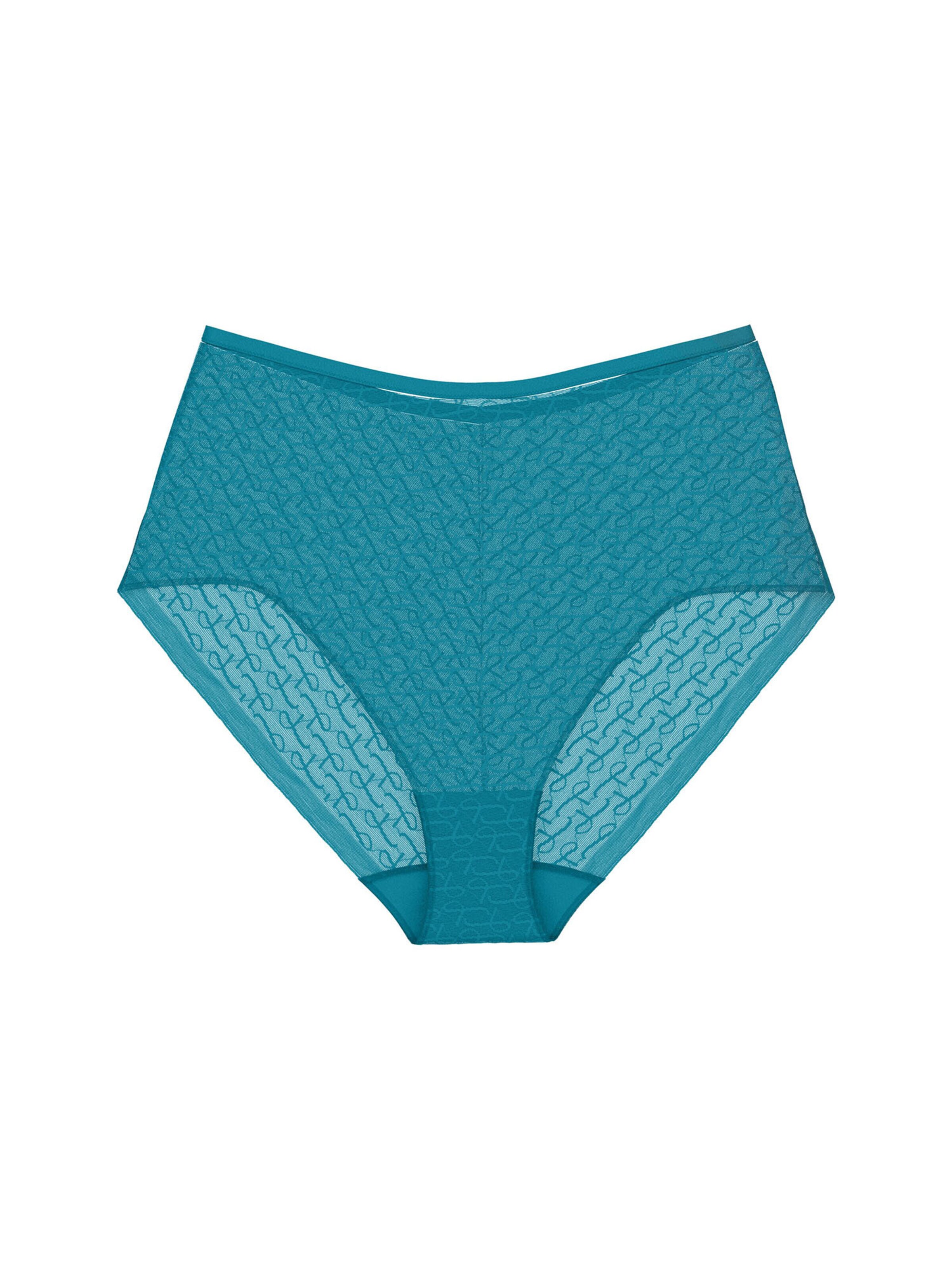 TRIUMPH Maxislip ' Red Label Triumph Signature Sheer ' in Blau: Vorderseite