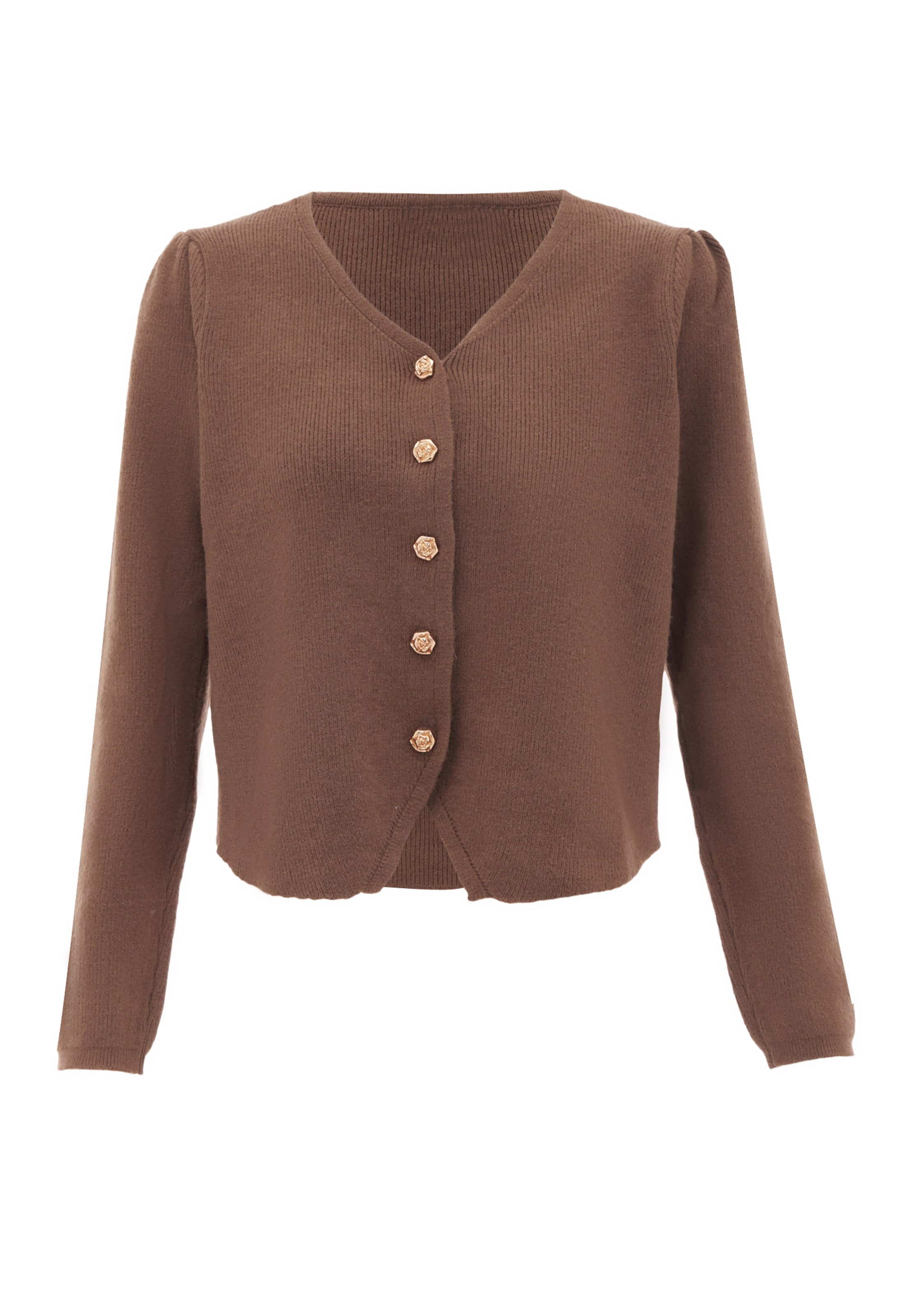 NAEMI Knit cardigan in Brown: front