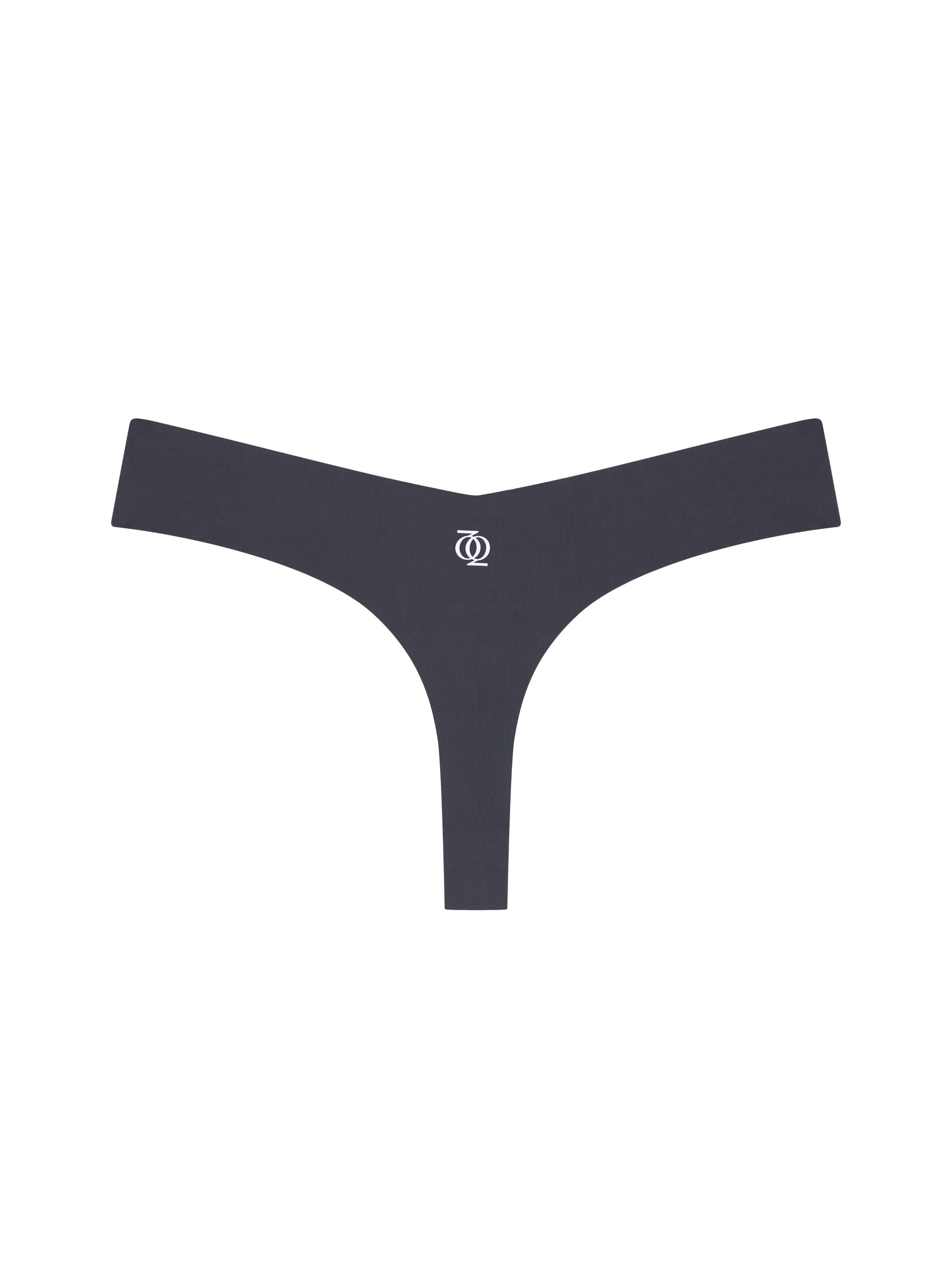 GOD SAVE QUEENSSlip 'Second Skin Thong' - siva boja: prednji dio