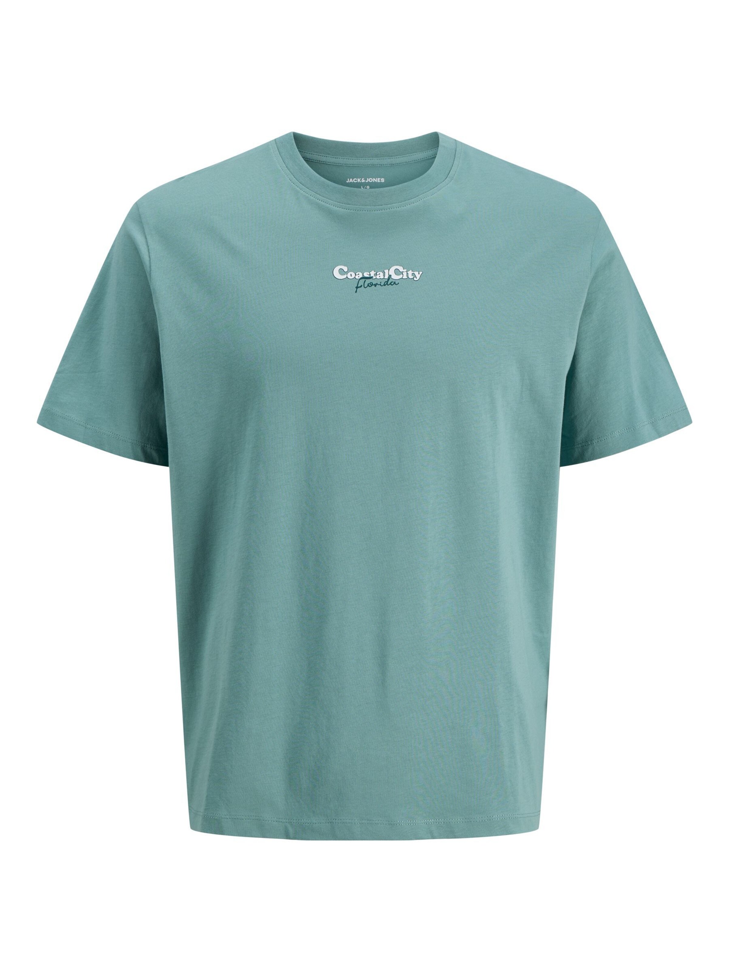 JACK & JONES T-Shirt 'JJCity' en XXL en aqua / bleu clair / vert / blanc, Vue avec produit